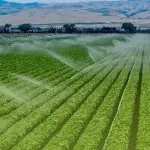 IRRIGATION AGRICOLE
