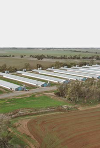 Traitement de l'eau d'entrée d'un élevage de poulets, Australie