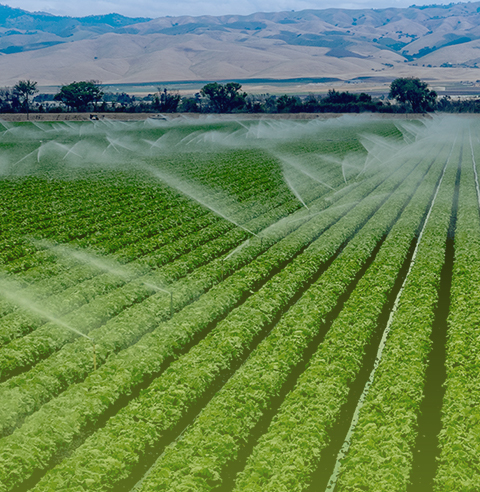 IRRIGATION AGRICOLE