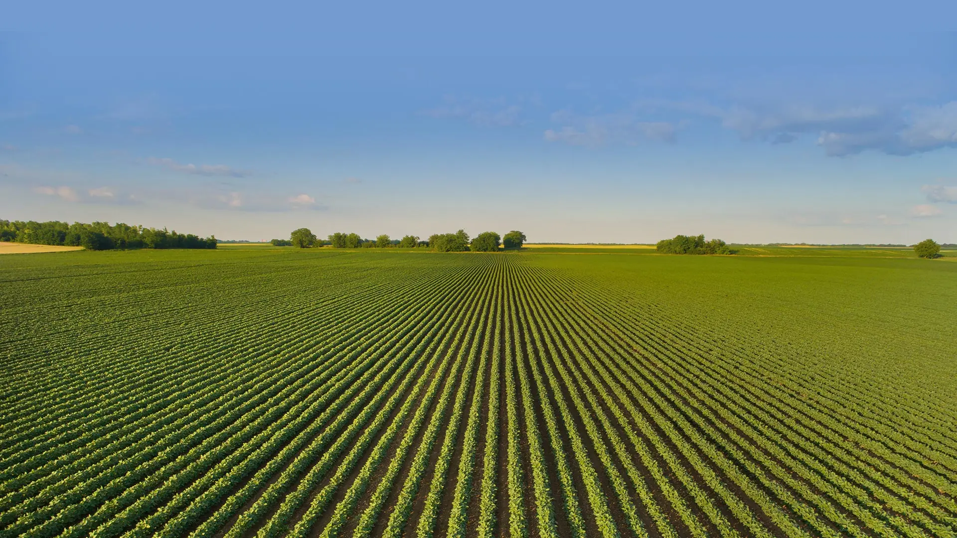 Systèmes d’irrigation agricole